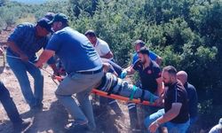 Dereye devrilen traktörün sürücüsü yaşamını yitirdi