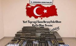 Dev kaçakçılık operasyonu: 5 milyon TL değerinde ürün ele geçirildi
