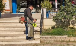 Efeler Belediyesi'nden yeşil alanlarda bakım seferberliği