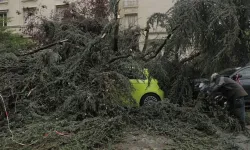Fransa'da şiddetli fırtına can aldı: 2 kişi hayatını kaybetti, 53 bin hane elektriksiz kaldı
