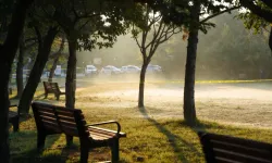 Güney Kore'de parkta iki kız kardeş ölü bulundu