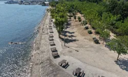 İnciraltı Kent Ormanı için dönüşüm başladı
