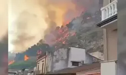 İtalya'da orman yangınları can aldı: 1 itfaiyeci hayatını kaybetti