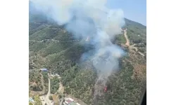 İzmir'de orman yangını! Havadan ve karadan müdahale sürüyor