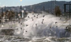 İzmir için sarı kodlu fırtına uyarısı: Sıcaklık 40 dereceyi bulacak