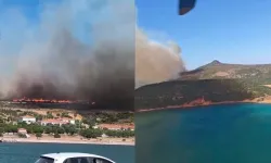 İzmir Foça'da orman yangını: Havadan ve karadan müdahale sürüyor