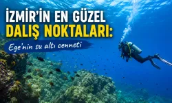 İzmir’in en güzel dalış noktaları: Ege’nin su altı cenneti