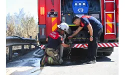 İzmir İtfaiyesi dumandan etkilenen bukalemunu kurtardı
