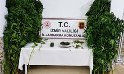 İzmir Ödemiş’te bahçede hint keneviri ve esrar ele geçirili: Şüpheli tutuklandı