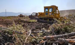 İzmir’de orman yangınları yüzde 47 azaldı