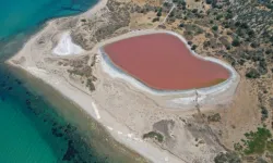 Kalpli Göl nerede, neden pembe oldu?