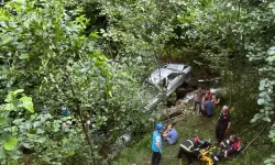 Kamyonet fındık bahçesine yuvarlandı: 1 ölü, 5 yaralı