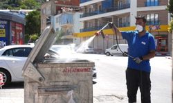 Kemalpaşa'da haşereyle mücadele hız kesmiyor