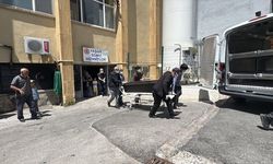 Vücuduna kene tutunan 55 yaşındaki kadın hayatını kaybetti