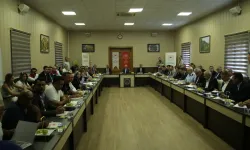 Kuru incir depolarında denetim kapsamı genişliyor