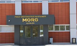 Geri manevra yapan iş makinesinin altında kalan genç işçi öldü