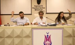 Ahmet Anıl Ceylan kimdir?
