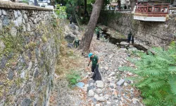 Manisa'da Çaybaşı Deresi'nde temizlik seferberliği