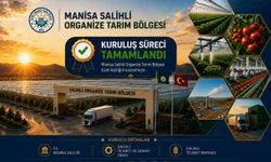 Manisa'da jeotermal seracılıkta yeni dönem başlıyor
