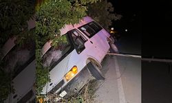 İzmir'de minibüsün ağaca çarpması sonucu 2 kişi yaralandı