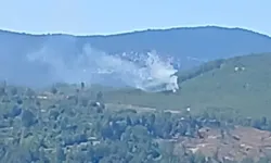Muğla'da orman yangını! Ekipler bölgeye sevk edildi