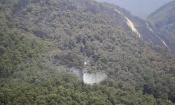 Muğla'da yanan ormanlık alanlar havadan görüntülendi