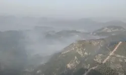 Muğla'daki orman yangını gece saatlerinde büyük ölçüde kontrol altına alındı