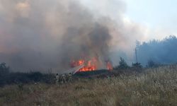 Muğla'daki yangının nedeni belli oldu! 1 kişi gözaltına alındı