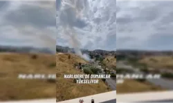 Narlıdere'de dumanlar yükseldi, ekipler bölgeye sevk edildi