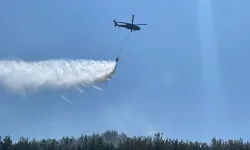 Osmaniye'de çalılık yangını ormana sıçradı