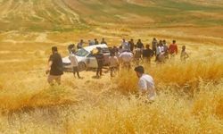 Otomobil tarlaya yuvarlandı: Çok sayıda yaralı var!