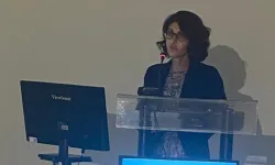 Prof. Dr. Sibel Ünsal Delialioğlu kimdir?