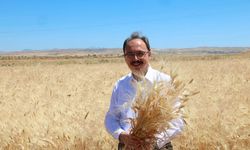 Siirt Valisi Kemal Kızılkaya'nın babası Mehmet Kamil Kızılkaya vefat etti