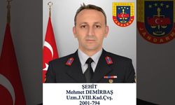 Şehit Uzman Jandarma Sekizinci Kademeli Çavuş Mehmet Demirbaş kimdir?