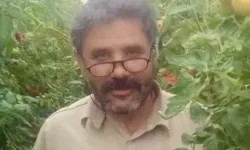 Traktör şarampole yuvarlandı: Sürücü olay yerinde hayatını kaybetti