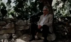TRT ortak yapımı 'Kesilmiş Bir Ağaç Gibi' Türkiye'nin Oscar adayı oldu