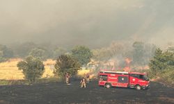 Foça'daki orman yangını için ekipler seferber oldu