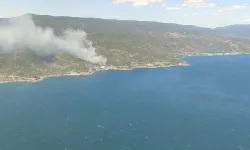 Yalova'da ormanlık alanda yangın paniği