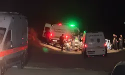 Yan araçtaki tartışmaya müdahale etmek isterken öldürüldüler