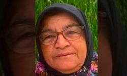 Minibüsün tarlaya uçtuğu kazada ağır yaralanan kadın hayatını kaybetti