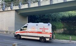 Yol kenarında erkek c*sedi bulundu! Olayla ilgili geniş çaplı soruşturma başlatıldı