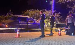 Yol kenarındaki çöp konteynerine çarpan otomobil sürücüsü olay yerinde öldü