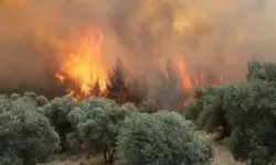 16 ildeki orman yangınlarında 6 şüpheli tutuklandı
