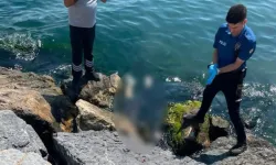 3 kardeşin ölümünde kahreden 'İzmir' detayı: 10 yıl önce de aynı acıyı yaşamışlar!