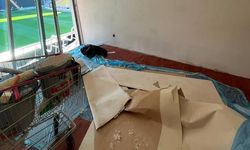 Acun Ilıcalı'nın Fenerbahçe'deki locası tahrip edildi