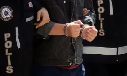 Yavru kedinin işkence edilerek öldürülmesine soruşturma