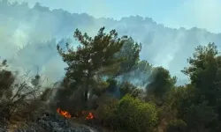 Antalya’da iki ayrı noktada orman yangını
