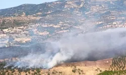 Balıkesir Sındırgı’da orman yangını: Havadan ve karadan müdahale sürüyor