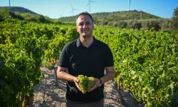 Bornova Misket Üzümü coğrafi işaret logosuyla geleceğe taşınıyor
