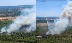 Buca Tınaztepe'de orman yangını: Havadan ve karadan müdahale sürüyor